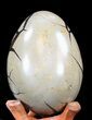 Septarian Dragon Egg Geode - Black Crystals #40904-3